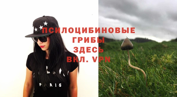 хмурый Бикин