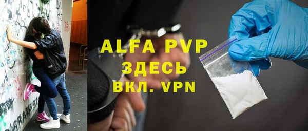 крисы Няндома