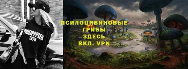 крисы Няндома