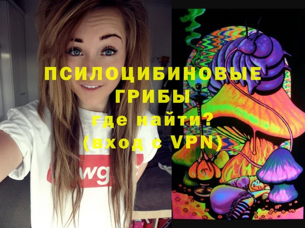 не бодяженный Осташков