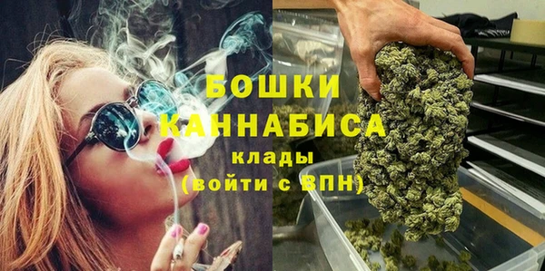хмурый Бикин